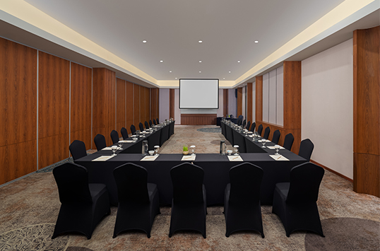 Mudra Meeting Room